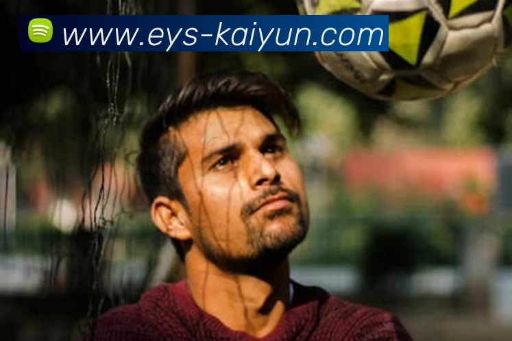 开云平台生态图